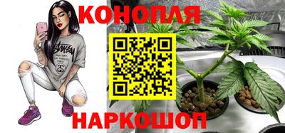 гашиш Аша