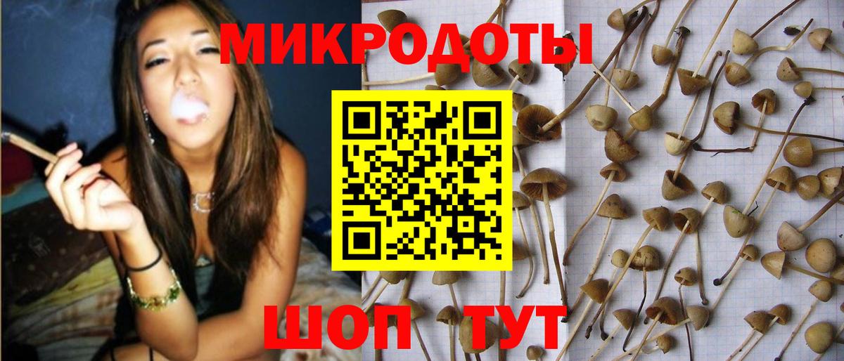 Псилоцибиновые грибы мицелий Гуково